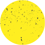 Desenvolva novas capacidades, aprenda alguma coisa nova e crescçã as suas competências a partir de qualquer parte do mundo